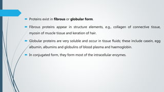  Proteins exist in fibrous or globular form.
 Fibrous proteins appear in structure elements, e.g., collagen of connective tissue,
myosin of muscle tissue and keration of hair.
 Globular proteins are very soluble and occur in tissue fluids; these include casein, egg
albumin, albumins and globulins of blood plasma and haemoglobin.
 In conjugated form, they form most of the intracellular enzymes.
 
