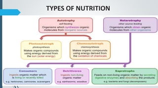 TYPES OF NUTRITION
 