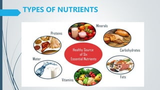 TYPES OF NUTRIENTS
 