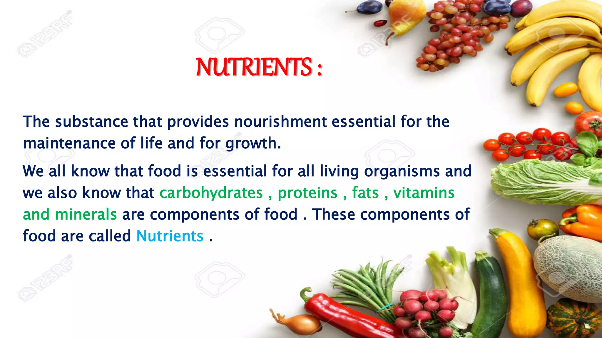 Modes of Nutrition PPTX