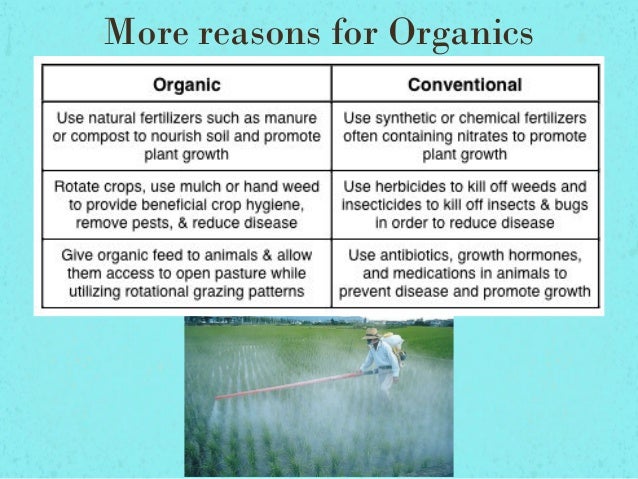 three nutritional habits