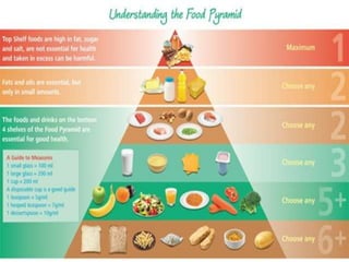 FOOD PYRAMID
 