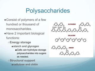 Polysaccharides
●Consist of polymers of a few
hundred or thousand of
monosaccharides.
●Have 2 important biological
functions:
○Energy storage
■starch and glycogen
■Cells can hydrolyse storage
polysaccharides into sugars
as needed.
○Structural support
■cellulose and chitin
 