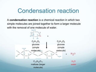 Condensation reaction
A condensation reaction is a chemical reaction in which two
simple molecules are joined together to form a larger molecule
with the removal of one molecule of water.
H2O
water
+
+
C12H22O11
maltose (larger
molecule)
C6H12O6
glucose
(simple
molecule)
C6H12O6
glucose
(simple
molecule)
 