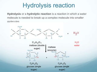 Hydrolysis reaction
Hydrolysis or a hydrolytic reaction is a reaction in which a water
molecule is needed to break up a complex molecule into smaller
molecules.
H2O
water
+
+
C12H22O11
maltose (double
sugar)
C6H12O6
glucose (single
sugar)
C6H12O6
glucose (single
sugar)
maltase
(enzyme)
 