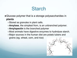 Starch
●Glucose polymer that is a storage polysaccharides in
plants
○Stored as granules in plant cells.
○Amylose, the simplest from, is an unbranched polymer.
○Amylopectin is the branched polymer
○Most animals have digestive enzymes to hydrolyse starch.
○Major sources in the human diet are potato tubers and
grains (eg. wheat, corn, and rice)
 