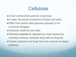 Cellulose
●Linear unbranched polymer of glucose
●A major structural component of plant cell walls
●Differ from starch (also glucose polymer) in its
monomer linkages.
●Cellulose reinforce cell walls.
●Cellulose cannot be digested by most organisms,
including humans, because they lack an enzyme.
●Certain bacterial and fungi have the enzyme to digest
cellulose.
 