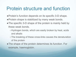 Protein structure and function
●Protein’s function depends on its specific 3-D shape.
●Protein shape is stabilized by many weak bonds.
●The specific 3-D shape of the protein is mainly held by
these weak bonds.
○Hydrogen bonds, which are easily broken by heat, acids
and alkalis
○The breaking of these cross-links causes the denaturation
of the protein
●The shape of the protein determines its function. For
example, haemoglobin.
 