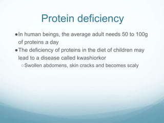 Protein deficiency
●In human beings, the average adult needs 50 to 100g
of proteins a day
●The deficiency of proteins in the diet of children may
lead to a disease called kwashiorkor
○Swollen abdomens, skin cracks and becomes scaly
 