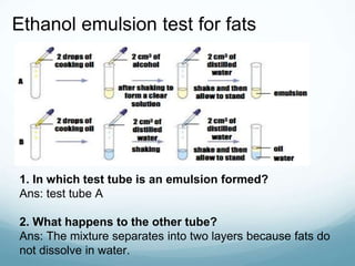 Ethanol emulsion test for fats
1. In which test tube is an emulsion formed?
Ans: test tube A
2. What happens to the other tube?
Ans: The mixture separates into two layers because fats do
not dissolve in water.
 