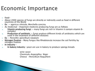  food-
 About 2000 species of fungi are directly or indirectly used as food in different
countries of the World
 Ex : - agaricus silvicola, Morchella concina.
 As medicinal – Important medicine producing fungi are as follows
a. Vitamin producing fungi :- many fungi are rich in Vitamin it contain vitamin B-
complex
b. Production of antibiotic :- fungi produce different kinds of antibiotics which are
used in the treatment of different diseases
 Ex :- Penicillin-pencillium notatwm
 Nitrogen fixation – Many fungus like Rhodotorula increase the soil fertility by
nitrogen fixation
 In industry –
a. In bakery industry : yeast are use in bakery to produce spongy breads
wine-yeast
Chemicals-Aspergillus Niger
Cheese -Penicillium Roqueforti
 