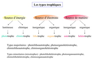 Source d’énergie Source d’électrons Source de matière
inorganique organique
lumineuse chimique inorganique organique
phototrophe chimiotrophe lithotrophe organotrophe autotrophe hétérotrophe
Les types trophiques
Types majoritaires : photolithoautotrophe, photoorganohétérotrophe,
chimiolithoautotrophe, chimioorganohétérotrophe
Types minoritaires (mixotrophes) : photolithohétérotrophe, photoorganoautotrophe,
chimiolithohétérotrophe, chimioorganoautotrophe
 