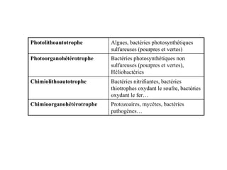 Photolithoautotrophe Algues, bactéries photosynthétiques
sulfureuses (pourpres et vertes)
Photoorganohétérotrophe Bactéries photosynthétiques non
sulfureuses (pourpres et vertes),
Héliobactéries
Chimiolithoautotrophe Bactéries nitrifiantes, bactéries
thiotrophes oxydant le soufre, bactéries
oxydant le fer…
Chimioorganohétérotrophe Protozoaires, mycètes, bactéries
pathogènes…
 