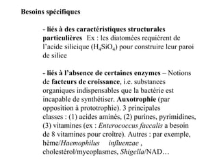 Besoins spécifiques
- liés à des caractéristiques structurales
particulières Ex : les diatomées requièrent de
l’acide silicique (H4SiO4) pour construire leur paroi
de silice
- liés à l’absence de certaines enzymes – Notions
de facteurs de croissance, i.e. substances
organiques indispensables que la bactérie est
incapable de synthétiser. Auxotrophie (par
opposition à prototrophie). 3 principales
classes : (1) acides aminés, (2) purines, pyrimidines,
(3) vitamines (ex : Enterococcus faecalis a besoin
de 8 vitamines pour croître). Autres : par exemple,
hème/Haemophilus influenzae ,
cholestérol/mycoplasmes, Shigella/NAD…
 