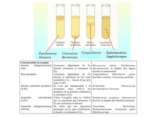 Concentration en oxygène
Aérobie obligatoire/stricte
(AS)
Microaérophile
Aérobie anaérobie facultative
(AAF)
Anaérobie aérotolérante
(AAT)
Anaérobie obligatoire/stricte
(ANAS)
Croissance dépendante de O2
(besoin, utilisation et résistance à
O2)
Croissance dépendante de O2
(besoin et utilisation de O2) mais
sensibilité à O2 – besoin d’une pO2
entre 2-10%
O2 n’est pas indispensable à la
croissance, mais celle-ci est
meilleure en sa présence (utilisation
et résistance à O2)
Tolère l’oxygène mais ne l’utilise
pas ou quasiment pas (résistance à
O2 sans utilisation ni besoin)
Ne tolère pas une exposition
prolongée au O2 (pas d’utilisation,
ni besoin, ni résistance à O2)
Micrococcus luteus, Pseudomonas,
Mycobacterium, la plupart des algues,
mycètes et protozoaires
Campylobacter, Helicobacter pylori,
Spirillum volutans, Treponema pallidum
Escherichia, Enterococcus,
Saccharomyces cerevisiae
Streptococcus pyogenes, Enterococcus
faecalis, la plupart des bactéries lactiques
Clostridium, Bacteroides,
Methanobacterium, Treponema agilis,
Bifidobacterium
 
