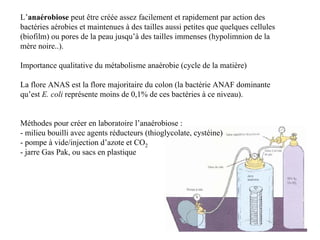 L’anaérobiose peut être créée assez facilement et rapidement par action des
bactéries aérobies et maintenues à des tailles aussi petites que quelques cellules
(biofilm) ou pores de la peau jusqu’à des tailles immenses (hypolimnion de la
mère noire..).
Importance qualitative du métabolisme anaérobie (cycle de la matière)
La flore ANAS est la flore majoritaire du colon (la bactérie ANAF dominante
qu’est E. coli représente moins de 0,1% de ces bactéries à ce niveau).
Méthodes pour créer en laboratoire l’anaérobiose :
- milieu bouilli avec agents réducteurs (thioglycolate, cystéine)
- pompe à vide/injection d’azote et CO2
- jarre Gas Pak, ou sacs en plastique
 