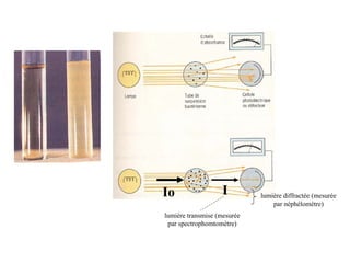 Io I lumière diffractée (mesurée
par néphélomètre)
lumière transmise (mesurée
par spectrophomtomètre)
 