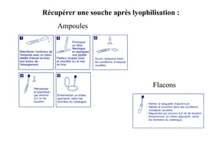 Ampoules
Flacons
Récupérer une souche après lyophilisation :
 