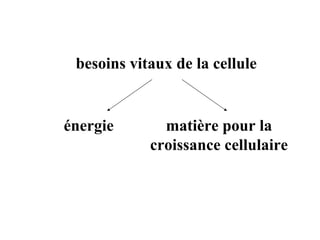 besoins vitaux de la cellule
énergie matière pour la
croissance cellulaire
 