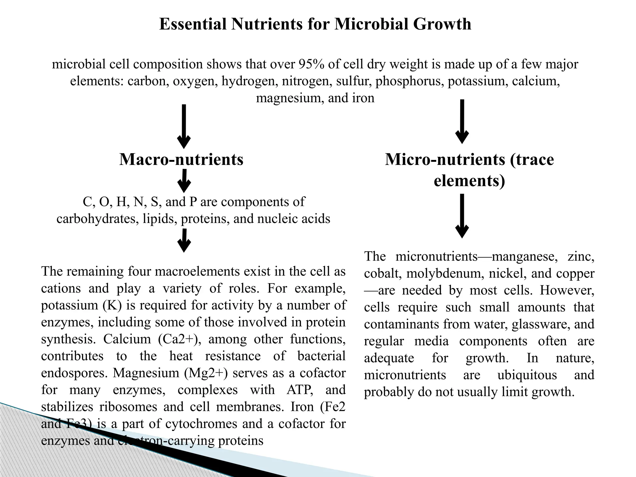 Nutrition in prokaryotic cells (Bacteria).pptx