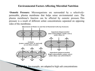 Nutrition in prokaryotic cells (Bacteria).pptx
