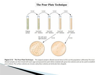 Nutrition in prokaryotic cells (Bacteria).pptx
