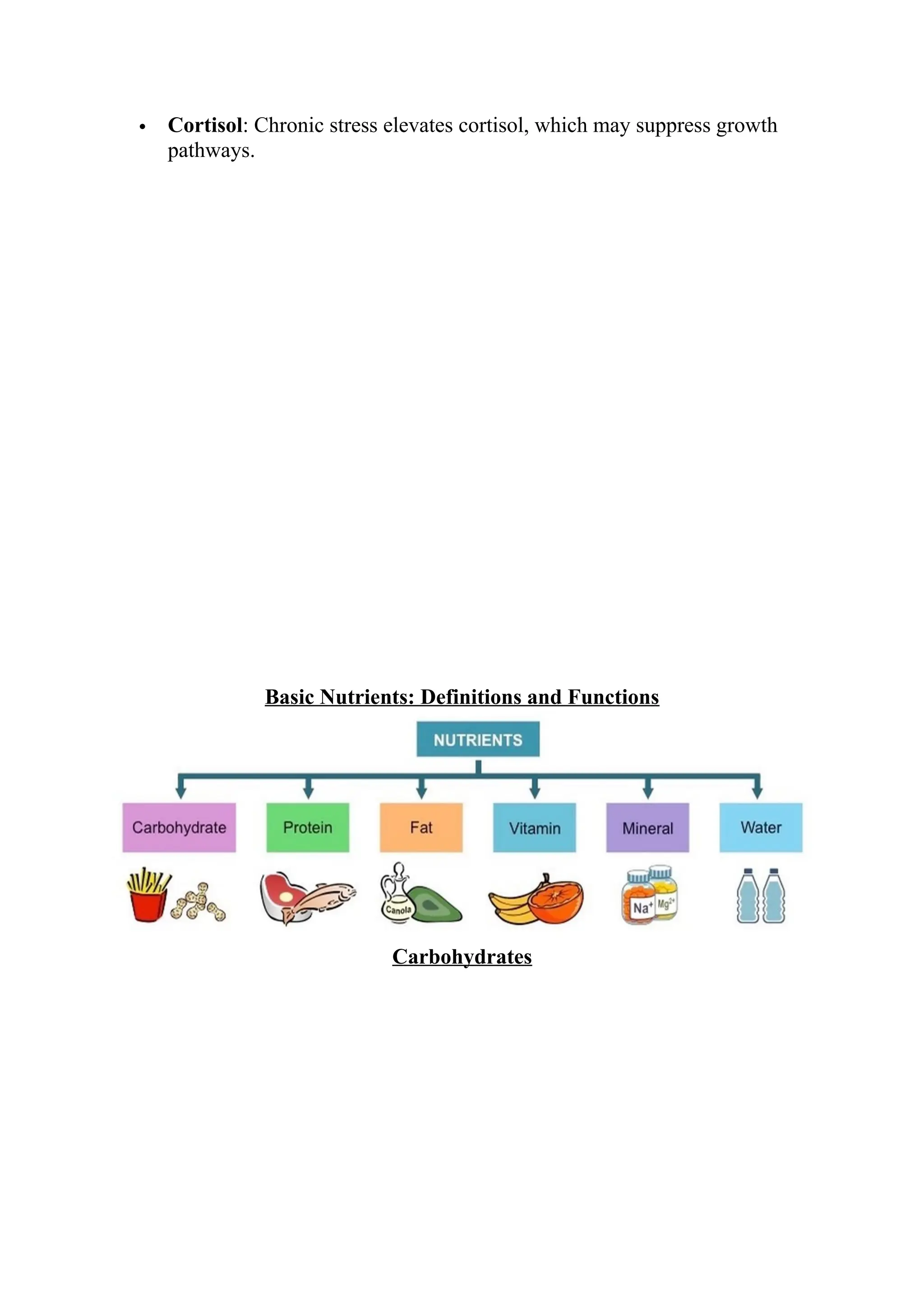  Cortisol: Chronic stress elevates cortisol, which may suppress growth
pathways.
Basic Nutrients: Definitions and Functions
Carbohydrates
 