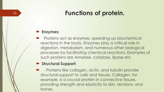 15 Functions of protein.
 Enzymes:
 Proteins act as enzymes, speeding up biochemical
reactions in the body. Enzymes play a critical role in
digestion, metabolism, and numerous other biological
processes by facilitating chemical reactions. Examples of
such proteins are Amylase, catalase, lipase etc
 Structural Support:
 - Proteins like collagen, actin, and tubulin provide
structural support to cells and tissues. Collagen, for
example, is a crucial protein in connective tissues,
providing strength and elasticity to skin, tendons, and
bones.
 