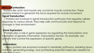 17
Muscle Contraction:
Proteins like actin and myosin are crucial for muscle contraction. These
proteins interact to generate the force required for muscle movement.
Signal Transduction:
- Proteins are involved in signal transduction pathways that regulate cellular
responses to various stimuli. They help cells communicate and respond to
changes in their environment.
Gene Expression:
Proteins play a role in gene expression by regulating the transcription and
translation of genetic information. Transcription factors, for example, are
proteins that control the expression of specific genes.
Metabolism:
- Many proteins are enzymes involved in metabolic pathways, breaking down
nutrients, generating energy, and synthesizing essential molecules needed for
 