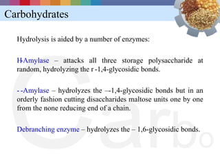 Carbohydrates




C a rb
  Hydrolysis is aided by a number of enzymes:

  H-Amylase – attacks all three storage polysaccharide at
  random, hydrolyzing the r -1,4-glycosidic bonds.

  - -Amylase – hydrolyzes the –-1,4-glycosidic bonds but in an
  orderly fashion cutting disaccharides maltose units one by one
  from the none reducing end of a chain.




                                                              o
  Debranching enzyme – hydrolyzes the – 1,6-glycosidic bonds.
 
