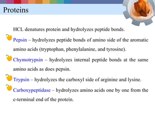 Proteins

   HCL denatures protein and hydrolyzes peptide bonds.

   Pepsin – hydrolyzes peptide bonds of amino side of the aromatic
   amino acids (tryptophan, phenylalanine, and tyrosine).

   Chymotrypsin – hydrolyzes internal peptide bonds at the same
   amino acids as does pepsin.

   Trypsin – hydrolyzes the carboxyl side of arginine and lysine.

   Carboxypeptidase – hydrolyzes amino acids one by one from the
   c-terminal end of the protein.
 