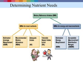 Determining Nutrient Needs
 