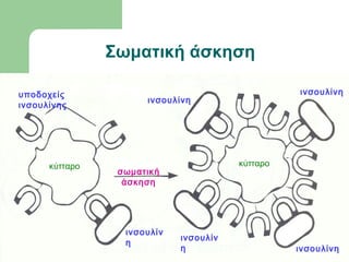 Σωματική άσκηση
κύτταρο κύτταρο
υποδοχείς
ινσουλίνης
ινσουλίν
η
ινσουλίνη
ινσουλίνη
ινσουλίν
η ινσουλίνη
σωματική
άσκηση
 