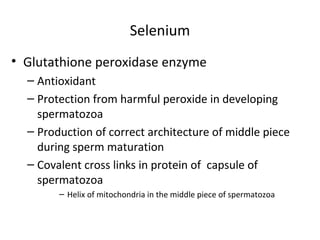 Selenium
• Glutathione peroxidase enzyme
– Antioxidant
– Protection from harmful peroxide in developing
spermatozoa
– Prod...