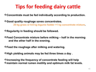 Tips for feeding dairy cattle
43
Concentrate must be fed individually according to production.
Good quality roughage sav...