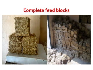 Complete feed blocks
 