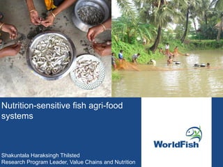 Nutrition-sensitive fish agri-food
systems
Shakuntala Haraksingh Thilsted
Research Program Leader, Value Chains and Nutrition
 