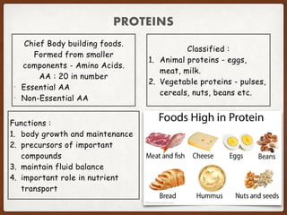 PROTEINS
Chief Body building foods.
Formed from smaller
components - Amino Acids.
AA : 20 in number
• Essential AA
• Non-Essential AA
Classified :
1. Animal proteins - eggs,
meat, milk.
2. Vegetable proteins - pulses,
cereals, nuts, beans etc.
Functions :
1. body growth and maintenance
2. precursors of important
compounds
3. maintain fluid balance
4. important role in nutrient
transport
 