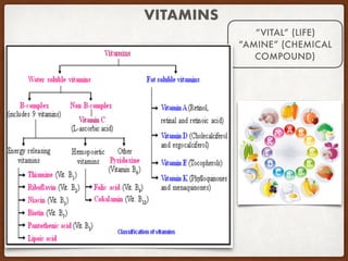 VITAMINS
“VITAL” (LIFE)
“AMINE” (CHEMICAL
COMPOUND)
 