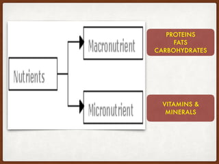 PROTEINS
FATS
CARBOHYDRATES
VITAMINS &
MINERALS
 