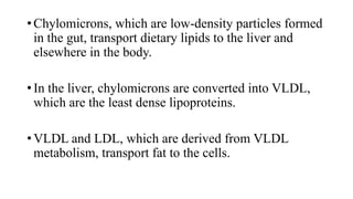 • Chylomicrons, which are low-density particles formed
in the gut, transport dietary lipids to the liver and
elsewhere in the body.
• In the liver, chylomicrons are converted into VLDL,
which are the least dense lipoproteins.

• VLDL and LDL, which are derived from VLDL
metabolism, transport fat to the cells.

 
