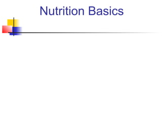 Nutrition Basics

 