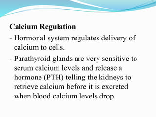 Calcium Regulation
- Hormonal system regulates delivery of
calcium to cells.
- Parathyroid glands are very sensitive to
serum calcium levels and release a
hormone (PTH) telling the kidneys to
retrieve calcium before it is excreted
when blood calcium levels drop.
 
