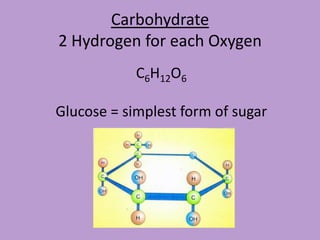 Carbohydrate
2 Hydrogen for each Oxygen
            C6H12O6

Glucose = simplest form of sugar
 