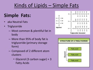 Kinds of Lipids – Simple Fats
Simple Fats:
• aka Neutral Fats
• Triglyceride
   – Most common & plentiful fat in
      body
   – More than 95% of body fat is
      triglyceride (primary storage
      form)
   – Composed of 2 different atom
      clusters
        • Glycerol (3 carbon sugar) + 3
          Fatty Acids
 