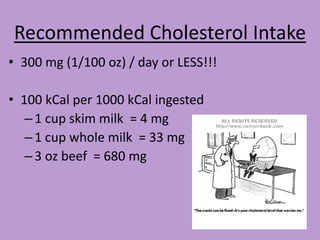 Recommended Cholesterol Intake
• 300 mg (1/100 oz) / day or LESS!!!

• 100 kCal per 1000 kCal ingested
   – 1 cup skim milk = 4 mg
   – 1 cup whole milk = 33 mg
   – 3 oz beef = 680 mg
 