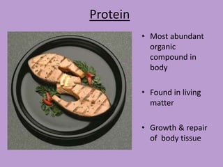 Protein
          • Most abundant
            organic
            compound in
            body

          • Found in living
            matter

          • Growth & repair
            of body tissue
 