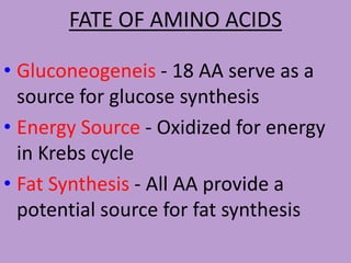 FATE OF AMINO ACIDS

• Gluconeogeneis - 18 AA serve as a
  source for glucose synthesis
• Energy Source - Oxidized for energy
  in Krebs cycle
• Fat Synthesis - All AA provide a
  potential source for fat synthesis
 