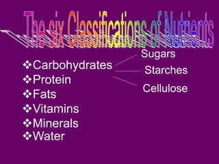 Carbohydrates
Protein
Fats
Vitamins
Minerals
Water
Sugars
Starches
Cellulose
 