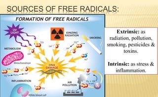 SOURCES OF FREE RADICALS:
Extrinsic: as
radiation, pollution,
smoking, pesticides &
toxins.
Intrinsic: as stress &
inflammation.
 